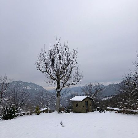 Παραδοσιακή Πέτρινη Κατοικία Στην Βλάχα Ελάτης Экстерьер фото