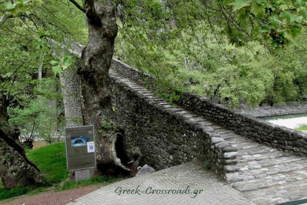 Παραδοσιακή Πέτρινη Κατοικία Στην Βλάχα Ελάτης Экстерьер фото