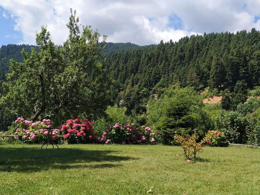 Παραδοσιακή Πέτρινη Κατοικία Στην Βλάχα Ελάτης Экстерьер фото